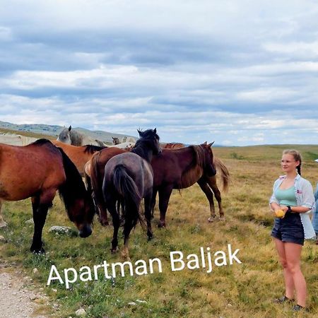 Apartmani Baljak Livno Bagian luar foto