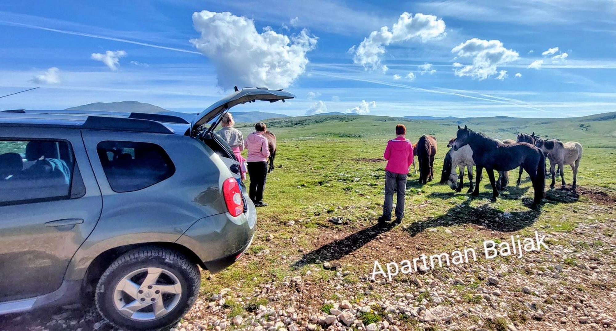 Apartmani Baljak Livno Bagian luar foto