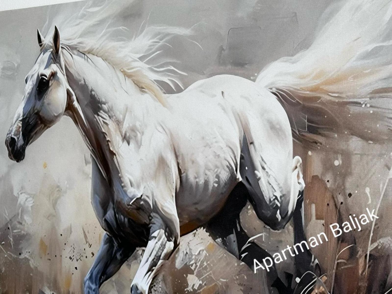 Apartmani Baljak Livno Bagian luar foto